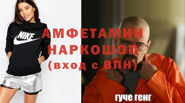индика Ростов