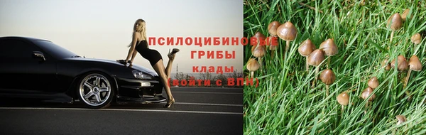 соль ск Рославль